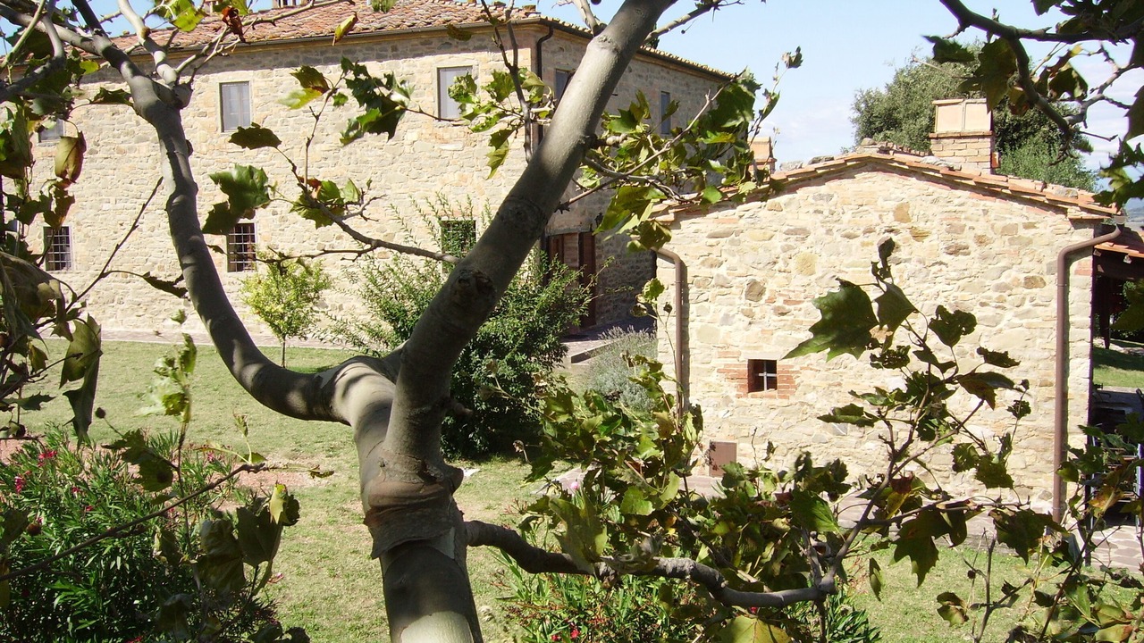 Photo of Outdoor in Chianni
