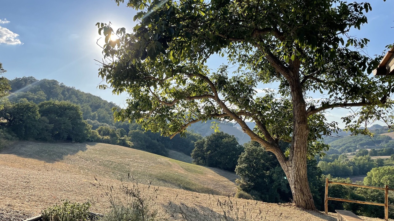 Photo of Others in Civitella d'Agliano