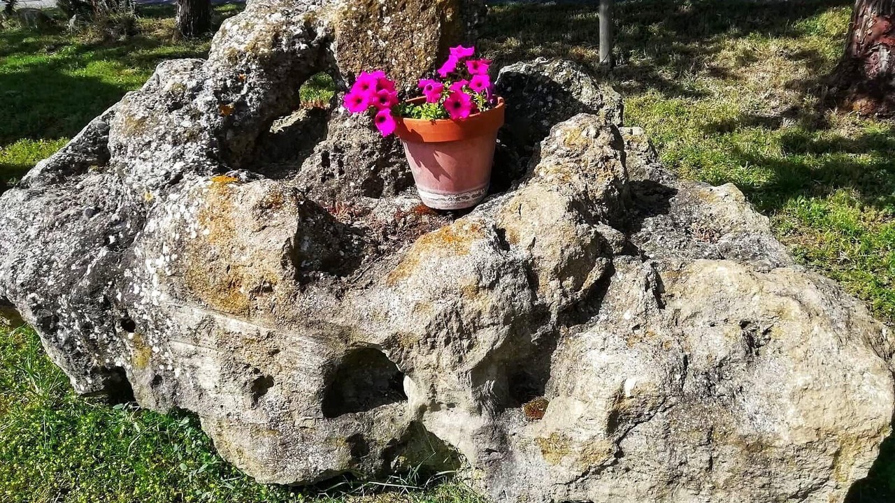 Photo of Outdoor in Cinigiano