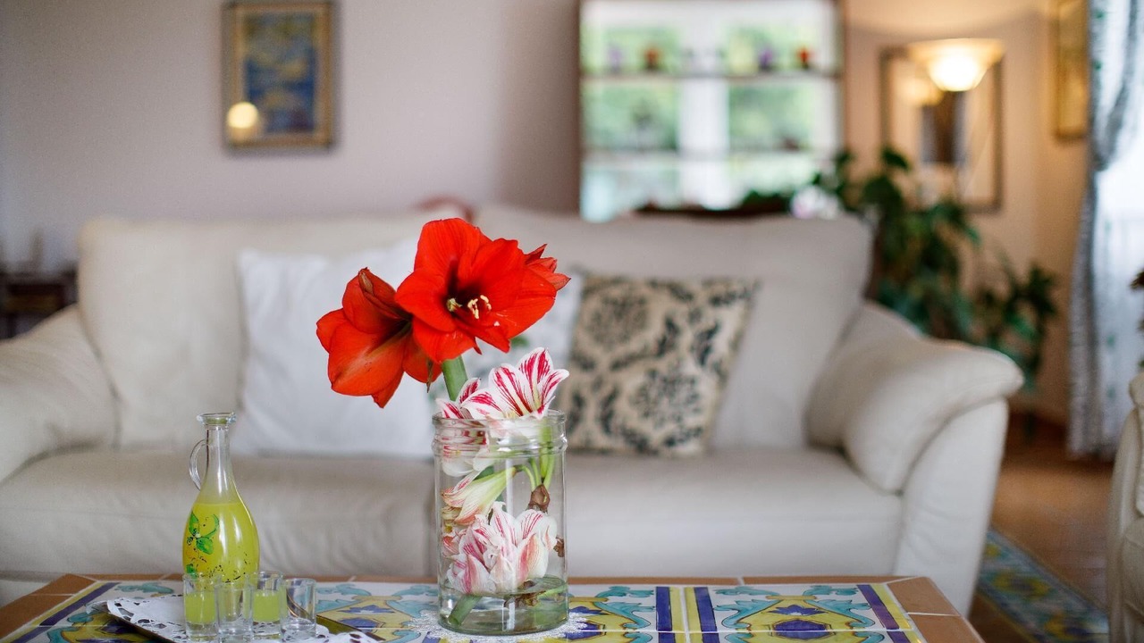 Photo of Livingroom in San Pietro