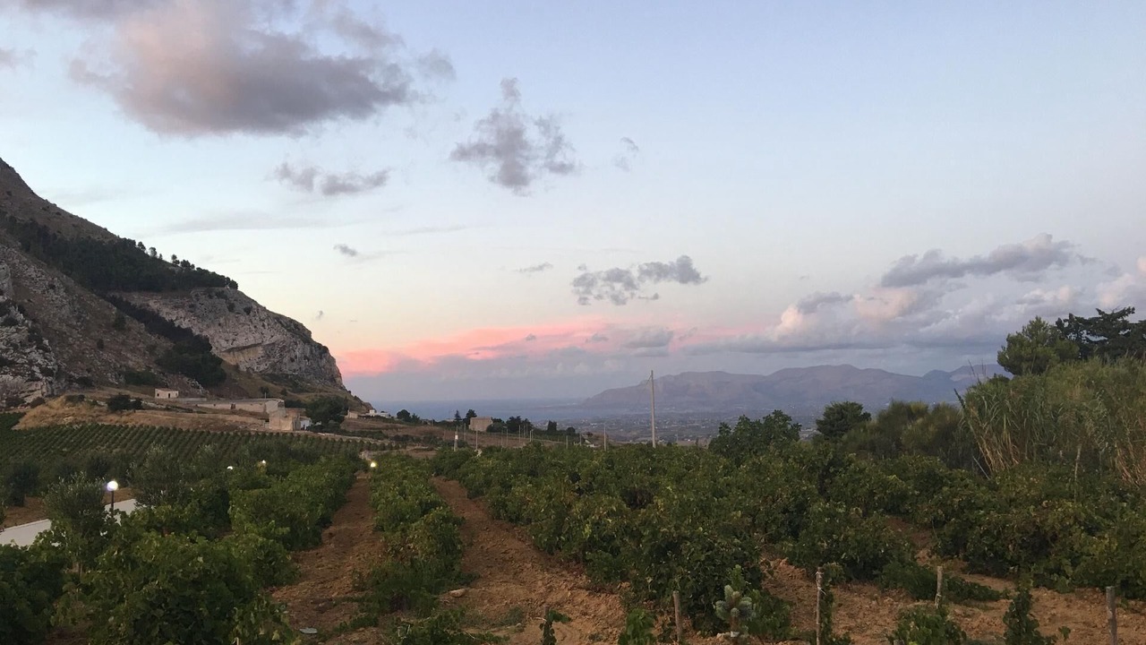 Photo of Others in Alcamo