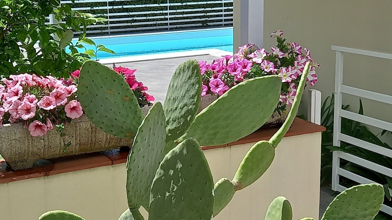 Photo of Outdoor in Coste
