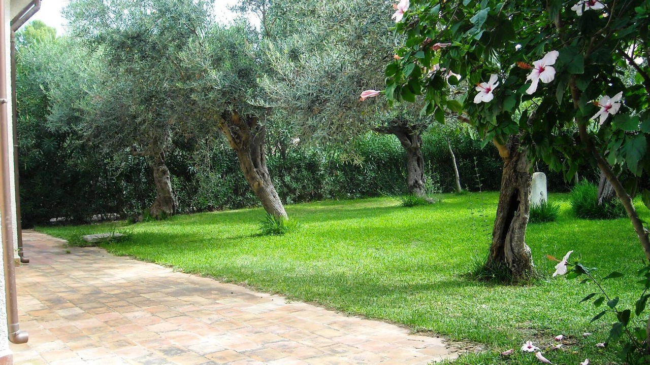 Photo of Outdoor in Menfi
