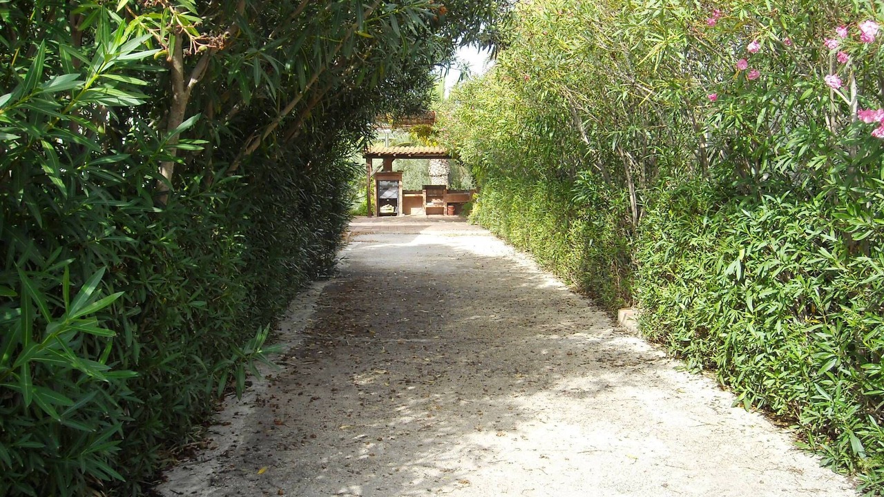 Photo of Outdoor in Menfi