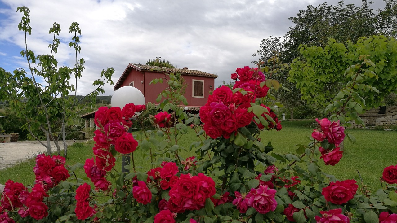Photo of Outdoor in Giarratana