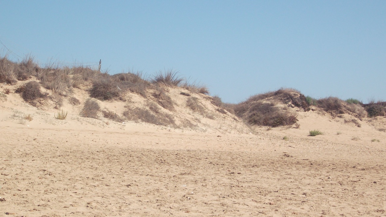 Photo of Others in Campobello di Mazara