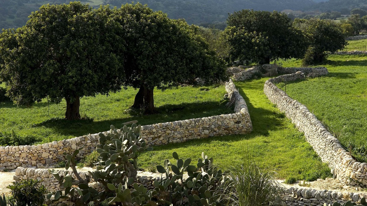 Photo of Others in Ragusa