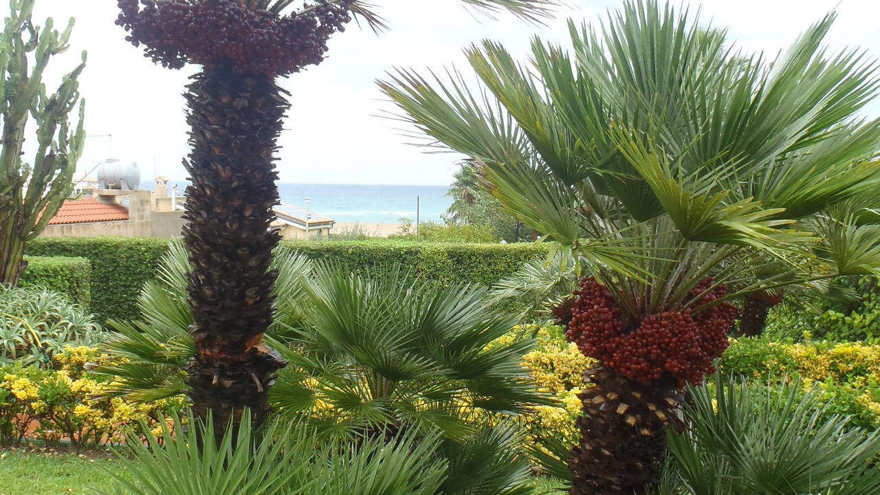 Photo of Outdoor in Pachino