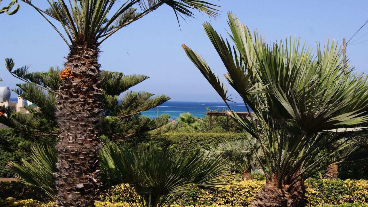 Photo of Outdoor in Pachino