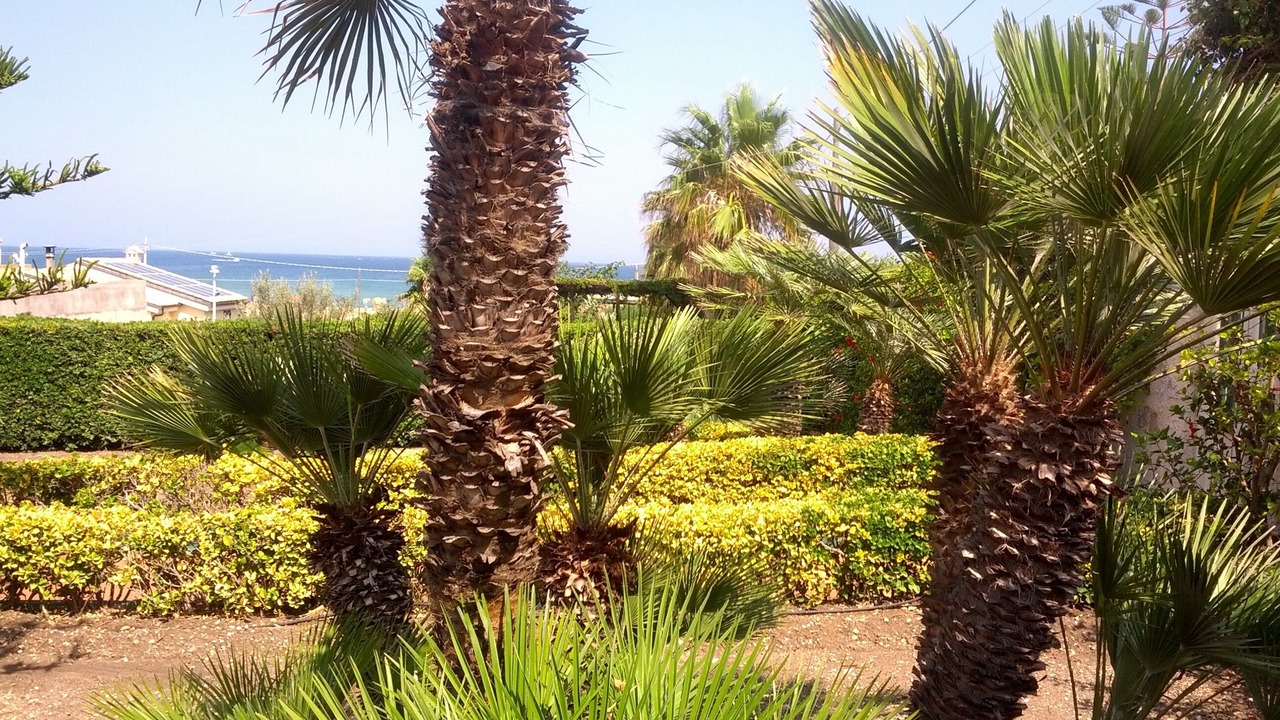 Photo of Outdoor in Pachino
