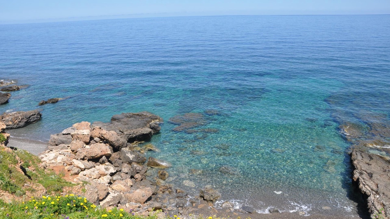 Photo of Others in Marettimo