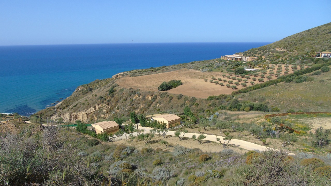 Photo of Outdoor in Pergole