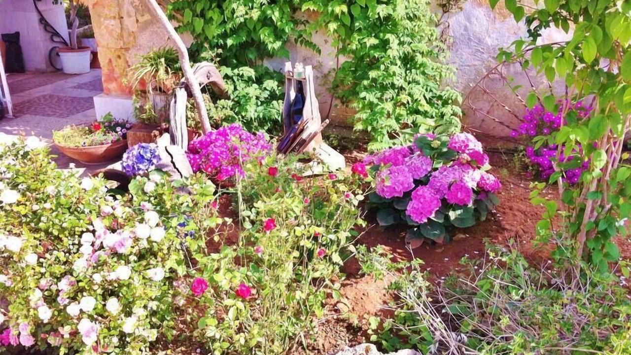 Photo of Outdoor in Santa Maria
