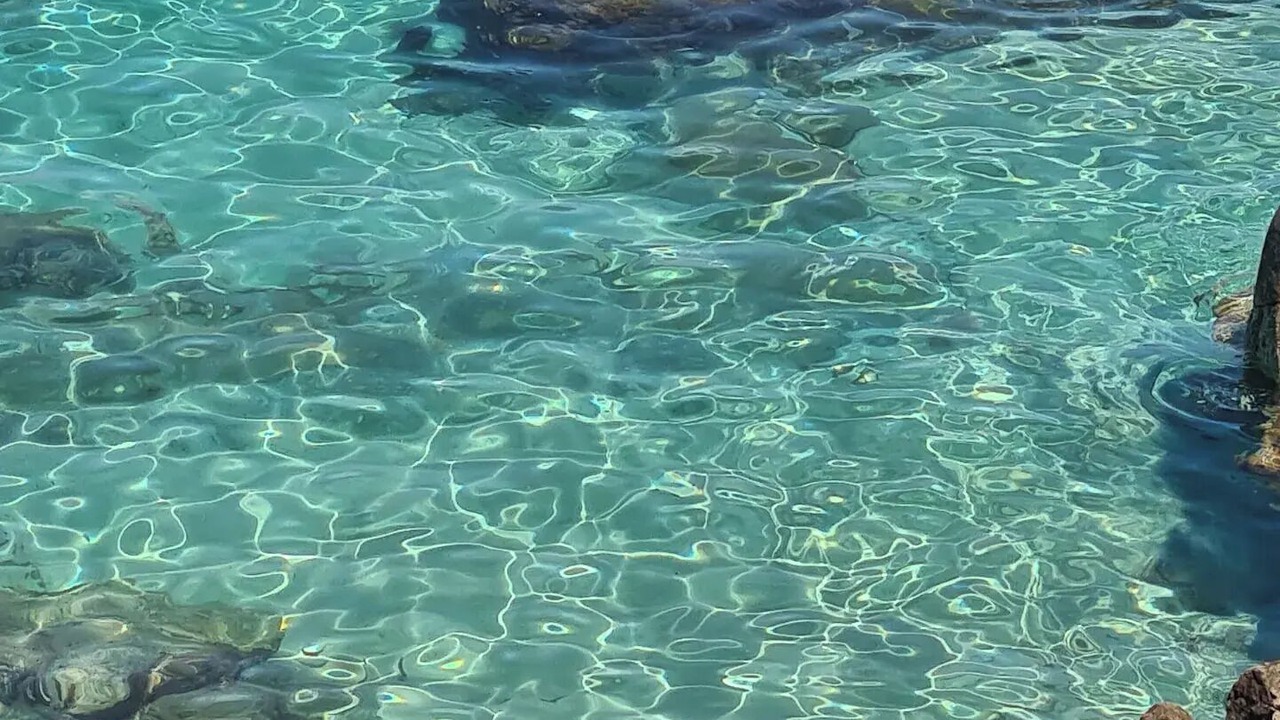 Photo of Others in Tropea