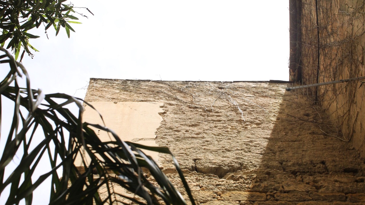 Photo of Outdoor in Monte di Pieta