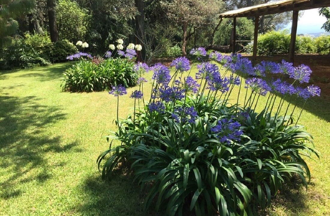 Photo of Outdoor in Piedimonte Etneo