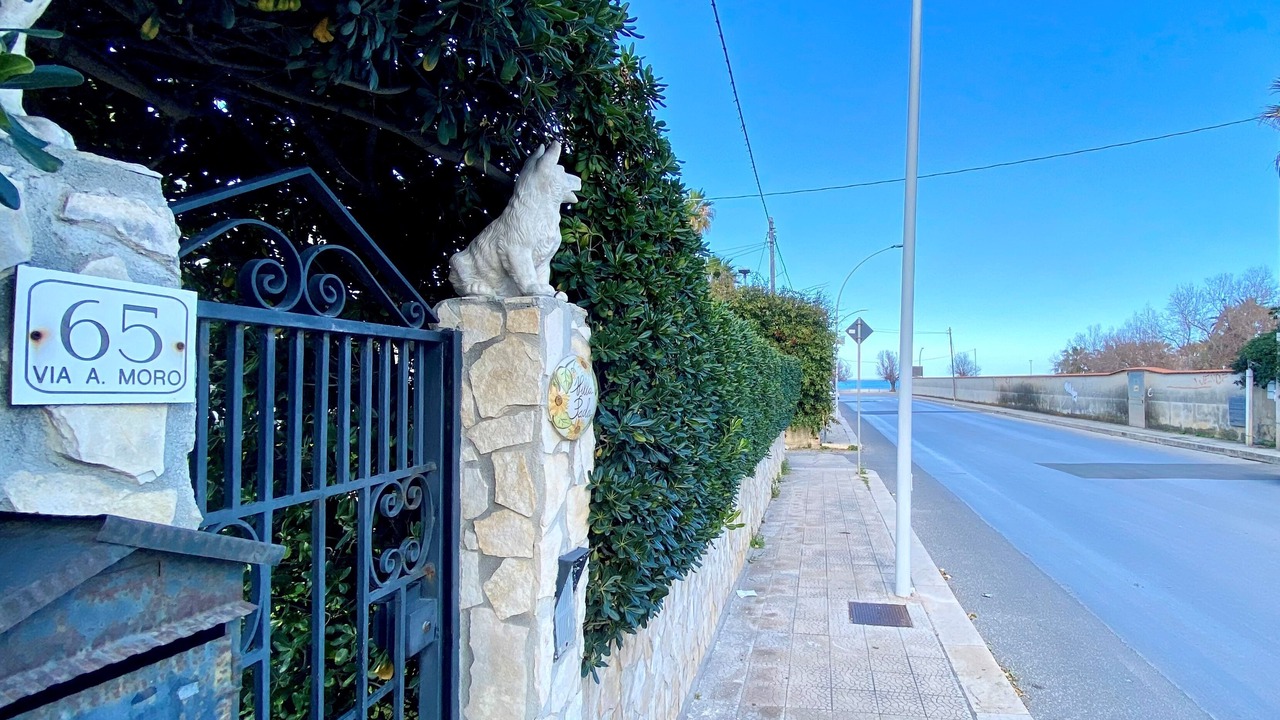 Photo of Outdoor in Avola