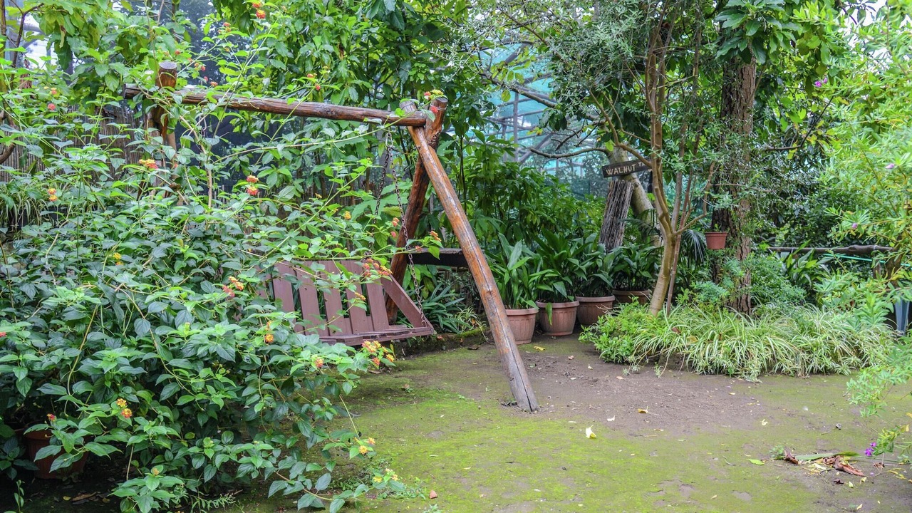 Photo of Outdoor in Sorrento