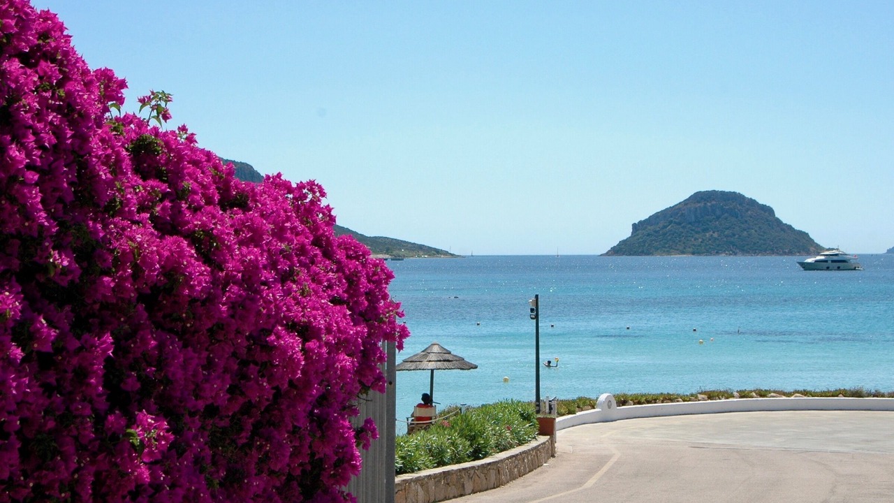 Photo of Others in Baia Caddinas
