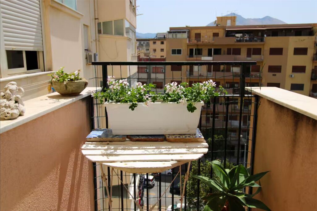 Photo of Outdoor in Palermo