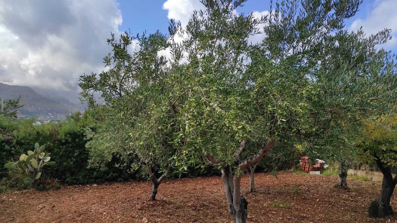 Photo of Outdoor in Scopello