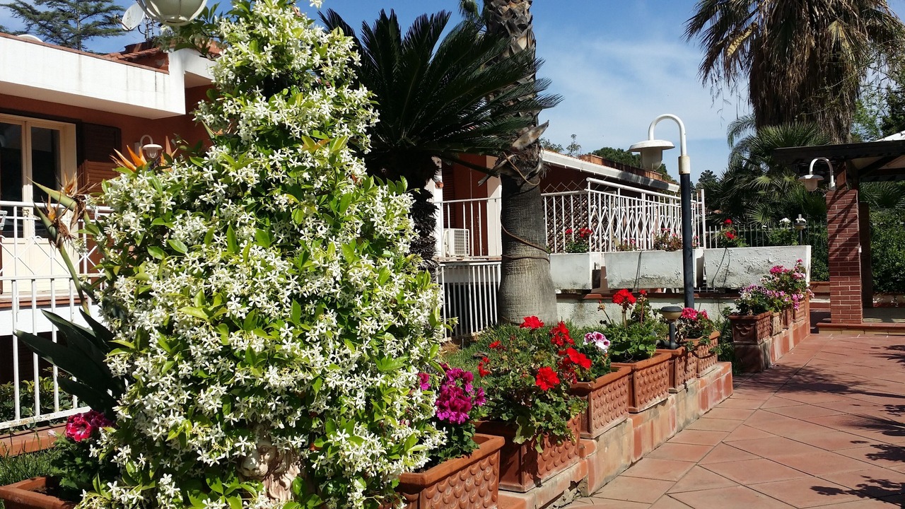 Photo of Outdoor in Palermo