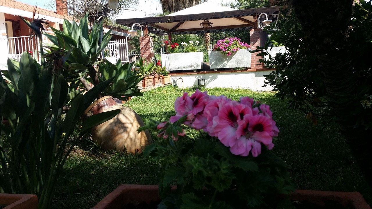 Photo of Outdoor in Palermo