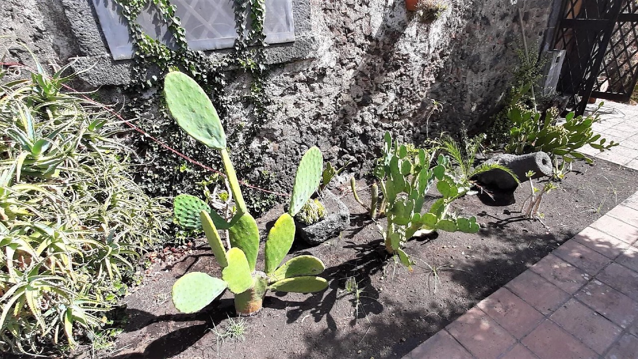 Photo of Outdoor in Blandano