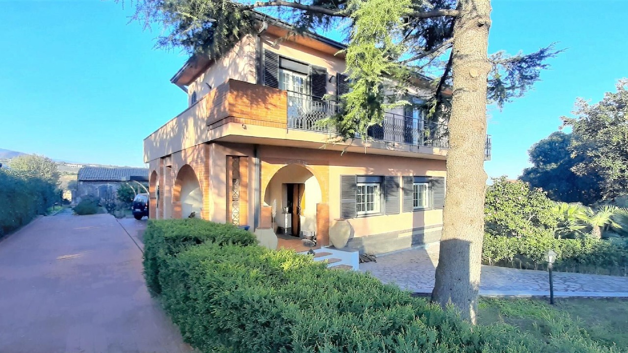 Photo of Others in Blandano