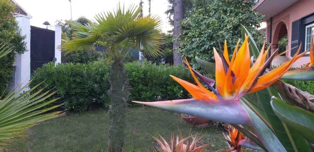 Photo of Outdoor in Blandano
