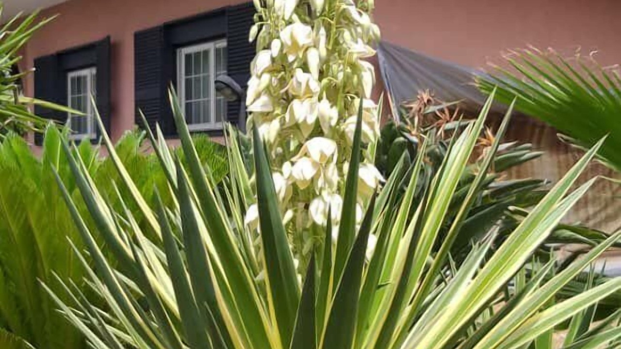 Photo of Outdoor in Blandano