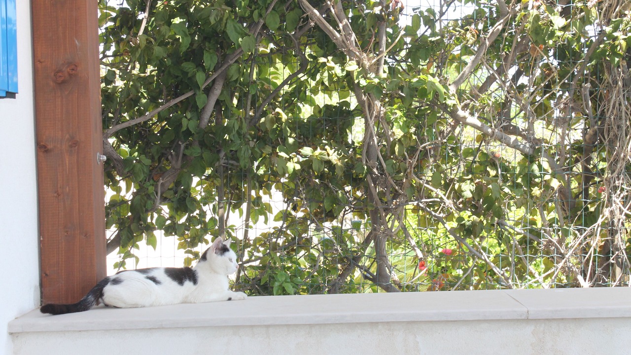 Photo of Patio Balcony in Marina di Modica