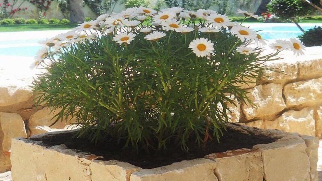 Photo of Outdoor in Donnalucata
