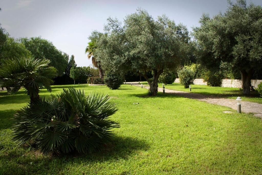 Photo of Outdoor in Casa Papa