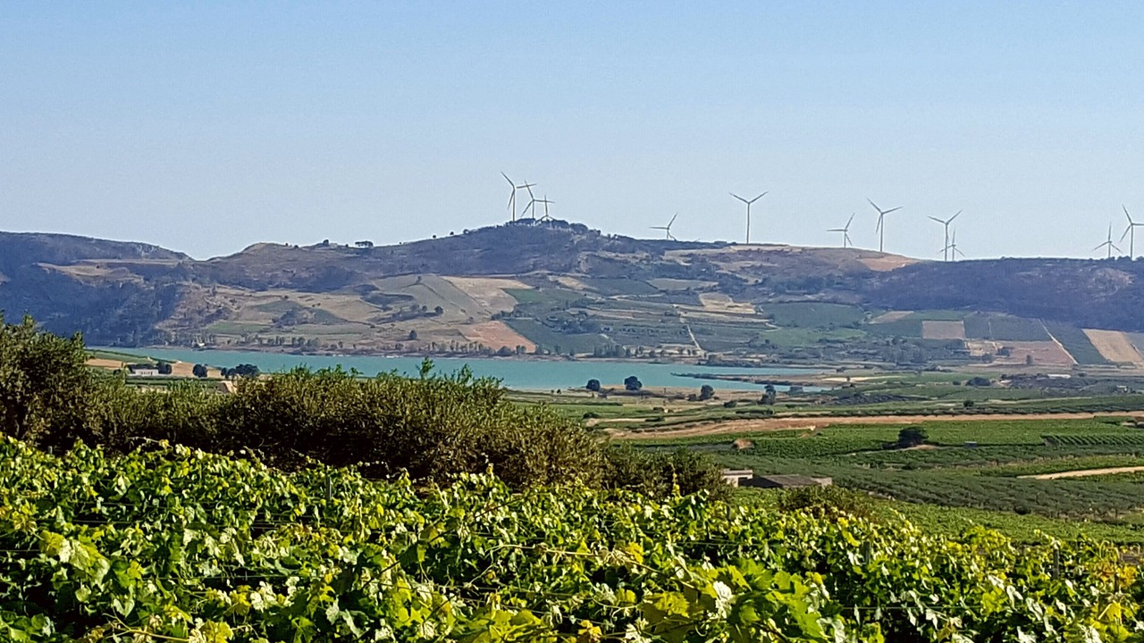 Photo of Others in Sambuca di Sicilia
