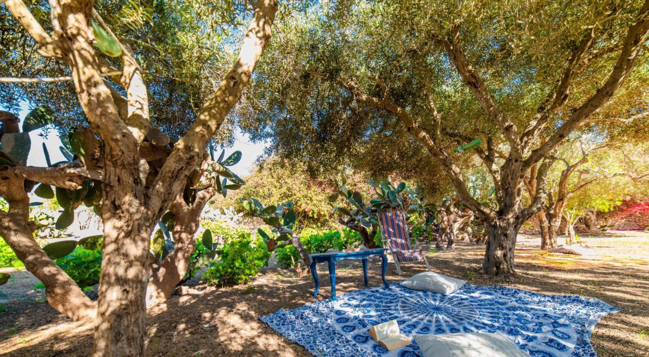 Photo of Outdoor in Lampedusa
