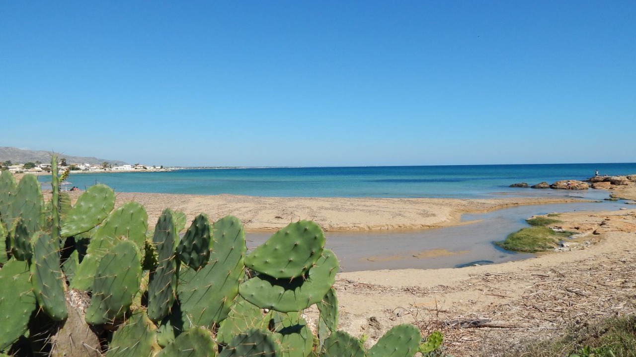 Photo of Others in Noto