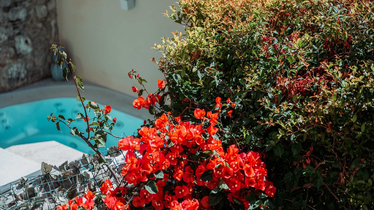 Photo of Outdoor in Villagonia