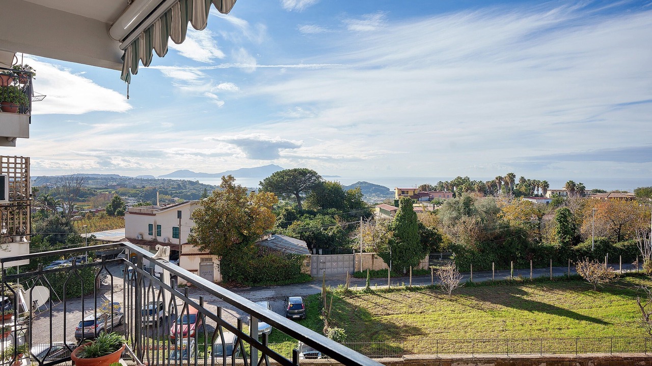 Photo of Outdoor in Licola