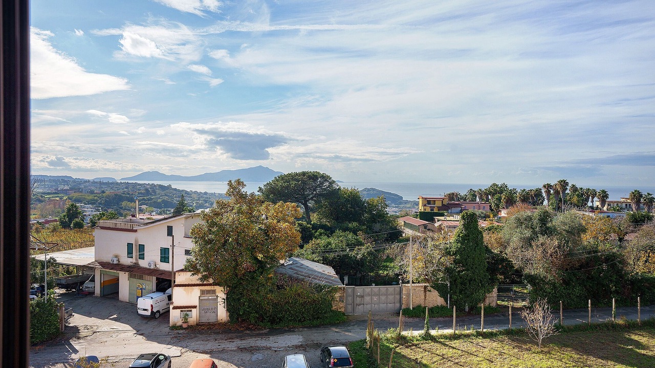 Photo of Others in Licola