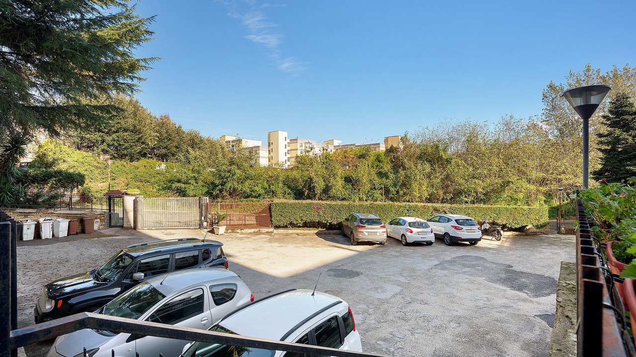 Photo of Outdoor in Licola