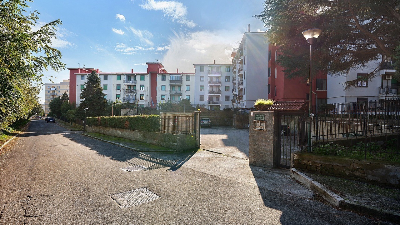 Photo of Outdoor in Licola
