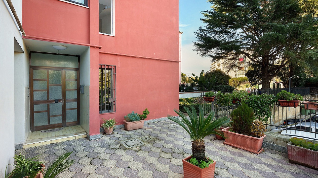 Photo of Outdoor in Licola