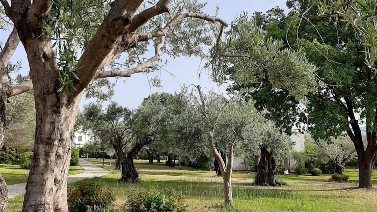Photo of Outdoor in Contrada Taverna