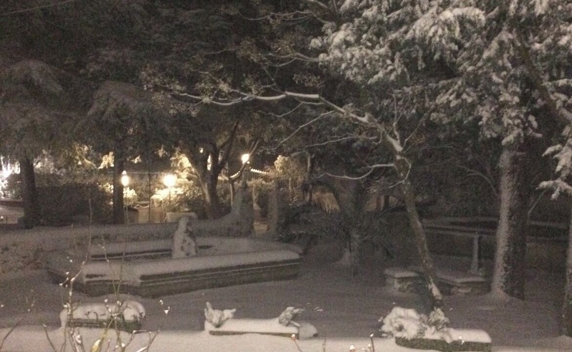 Photo of Outdoor in Gioia del Colle