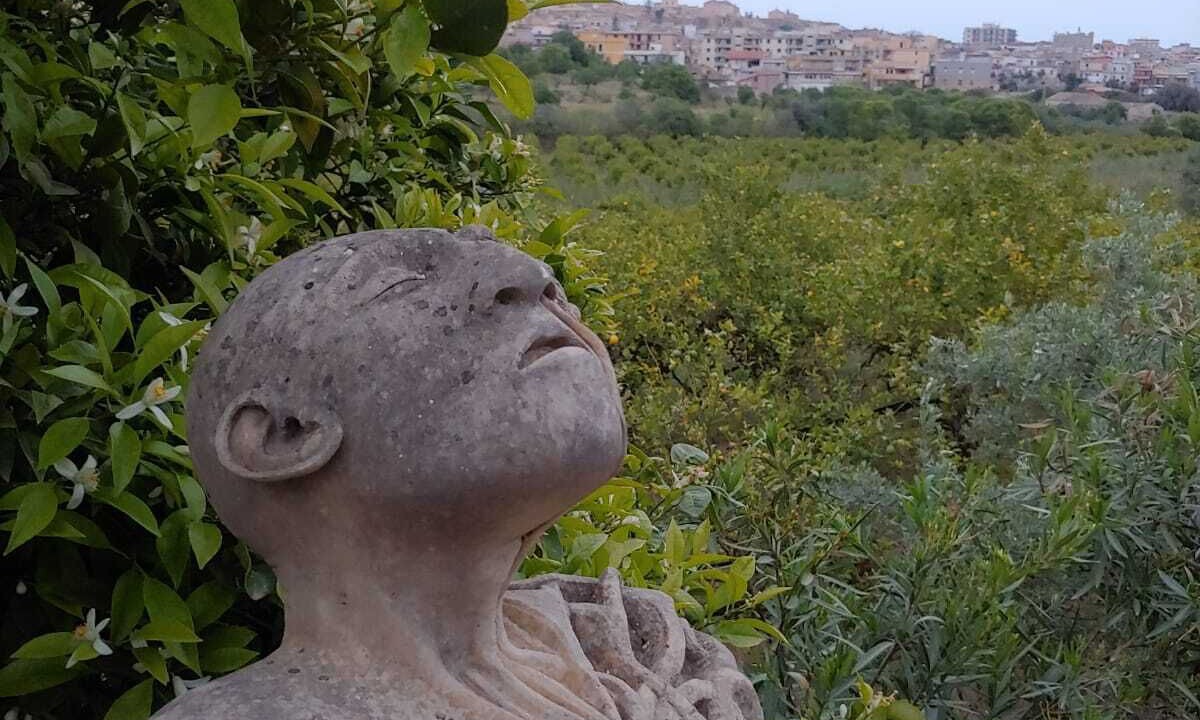 Photo of Outdoor in Noto