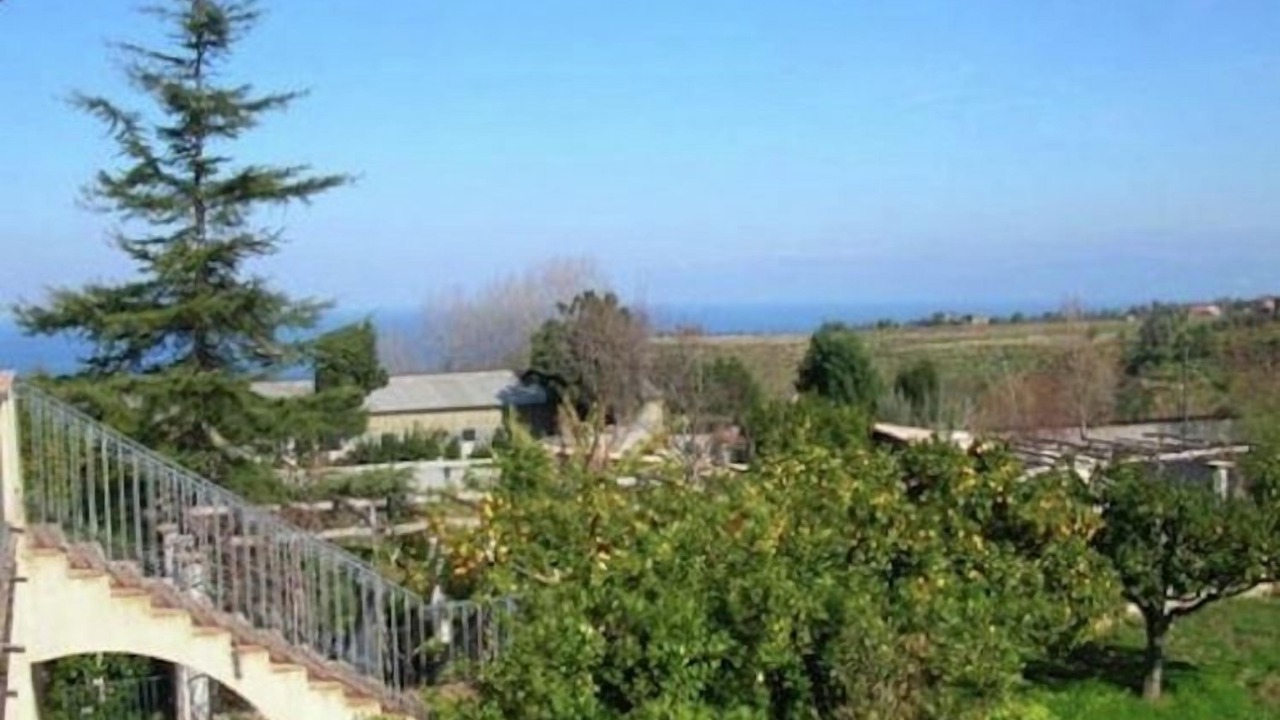 Photo of Others in Fitili