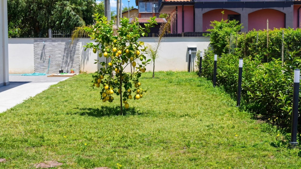 Photo of Outdoor in Agnone Bagni