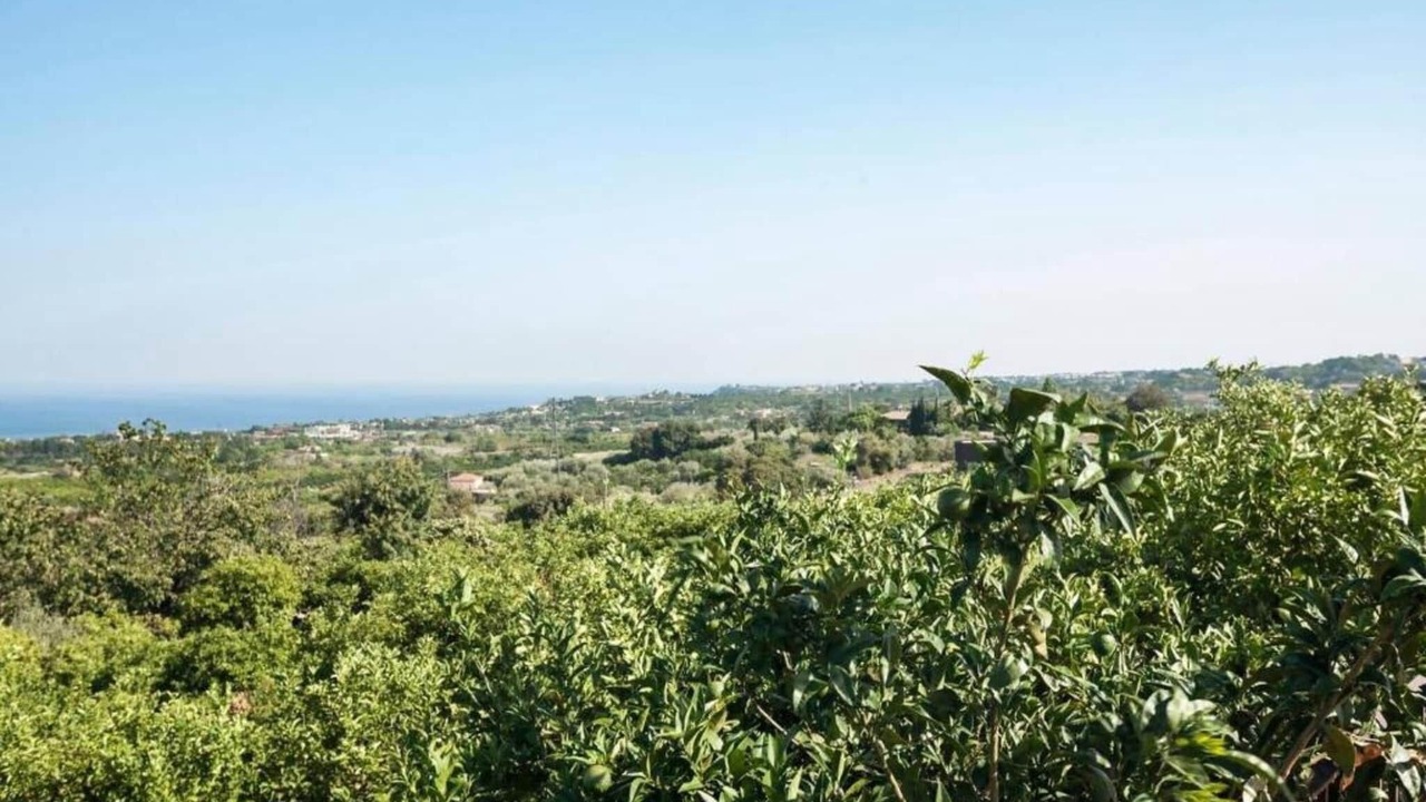 Photo of Others in Santa Venerina