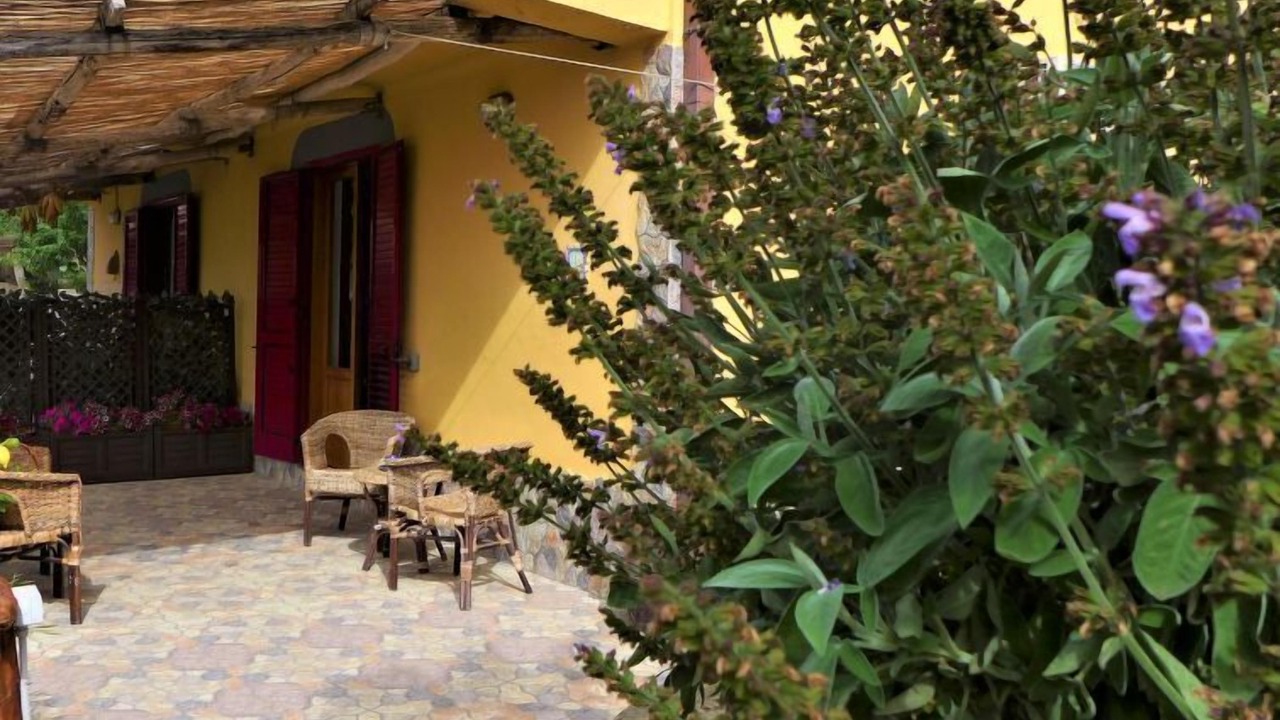 Photo of Others in Schiazzano